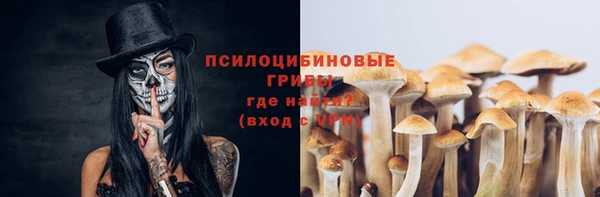 спиды Новозыбков