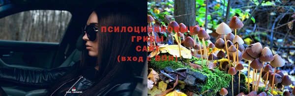дмт Абдулино