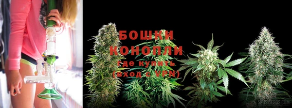 бошки Абинск
