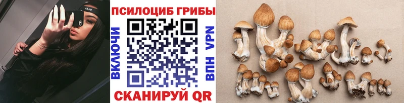 цены наркотик  Ряжск  Псилоцибиновые грибы Psilocybe 